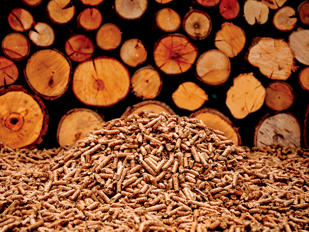 Leña vs Pellet: La guía definitiva para elegir tu sistema de calefacción